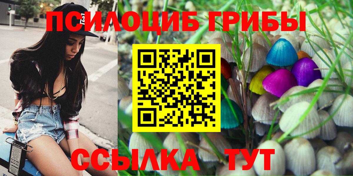 Красноуфимск  Псилоцибиновые грибы ЛСД  Вход с VPN 